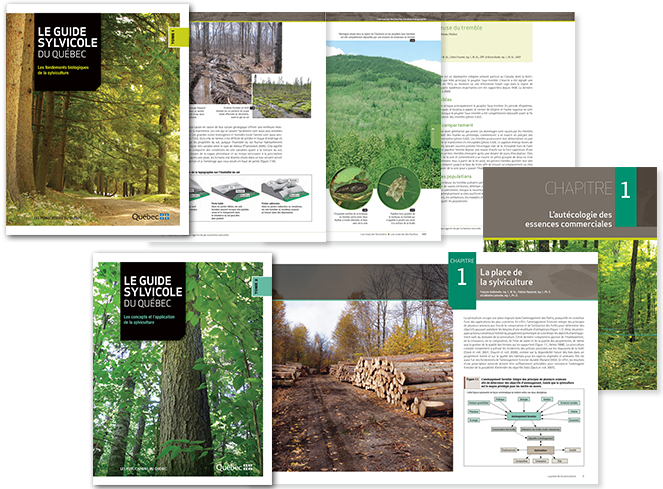 Le guide sylvicole du Qubec. Chapitre 1, L'autcologie des essences commerciales.